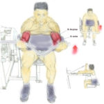biceps-trening-atlas