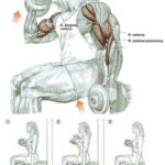 Trening przedramion (biceps) ze sztangielkami z obrotem
