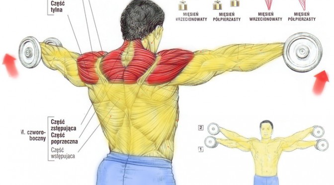Wzniosy ramion w bok z ciężarkami