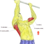 Plecy, grzbiet - podciąganie na drążku podchwytem