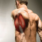 Pompowanie po treningu – triceps