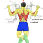 Ćwiczenia na mięśnie pleców